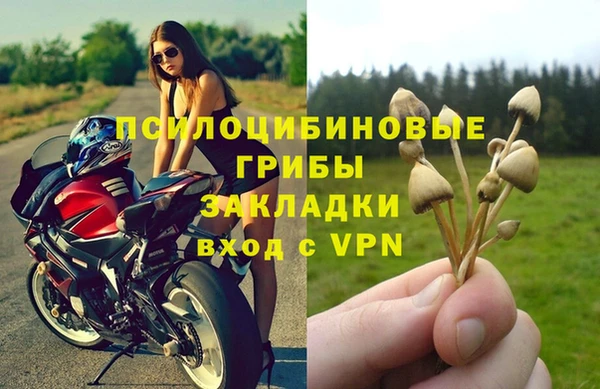 стаф Алексин