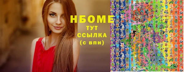 стаф Алексин