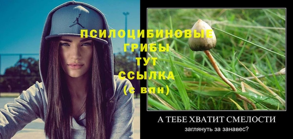 стаф Алексин