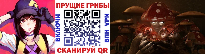 наркотики  Краснообск  Галлюциногенные грибы Psilocybine cubensis 